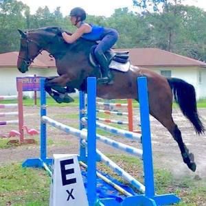 Meet your Posher, Brooke